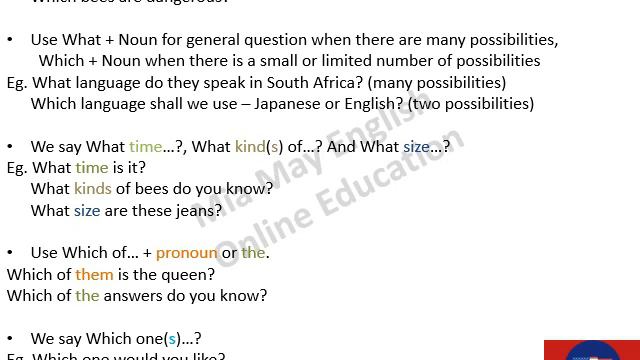 Basic Grammar Ep 38/51 (What? and Which?) смотреть онлайн