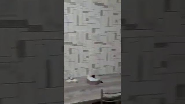 Квартира в аренду ЖК Дарград смотреть онлайн
