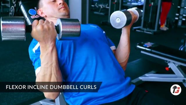 FLEXOR INCLINE DUMBBELL CURLS | СГИБАНИЕ РУК С ГАНТЕЛЯМИ НА НАКЛОННОЙ СКАМЬЕ смотреть онлайн