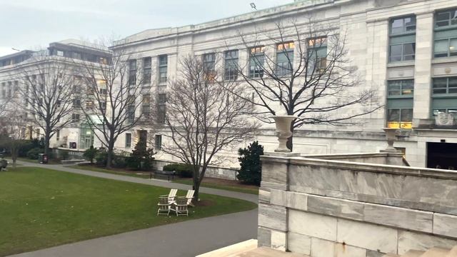 Harvard Medical School Campus Tour for Incoming Medical Students | Walk With Me Virtual Visit 2023 смотреть онлайн