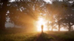 ФУТАЖ 90 СИЛУЭТ УХОДЯЩЕГО МУЖЧИНЫ