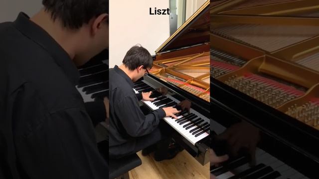 Liszt - Mephisto waltz #classic #liszt #music #piano #romantic #waltz #deutschland #steinway смотреть онлайн