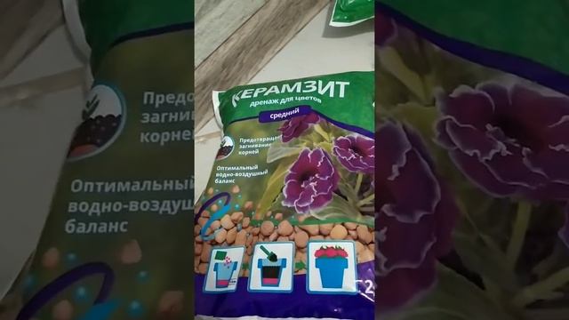 Фиаско инсектицидов! Прокаливание земли в духовке. И наконец победа над уховерткой!!Землянике быть смотреть онлайн