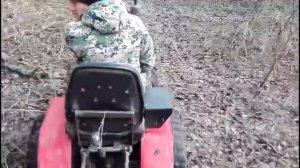 За дровами на минитракторе весной