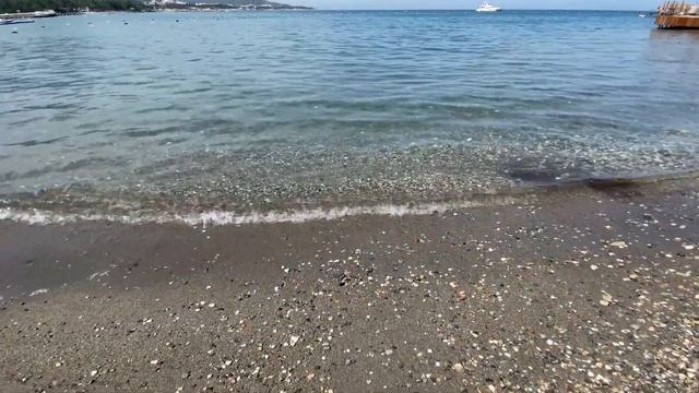 NG PHASELIS - СТОИТ ЛИ СВОИХ ДЕНЕГ?