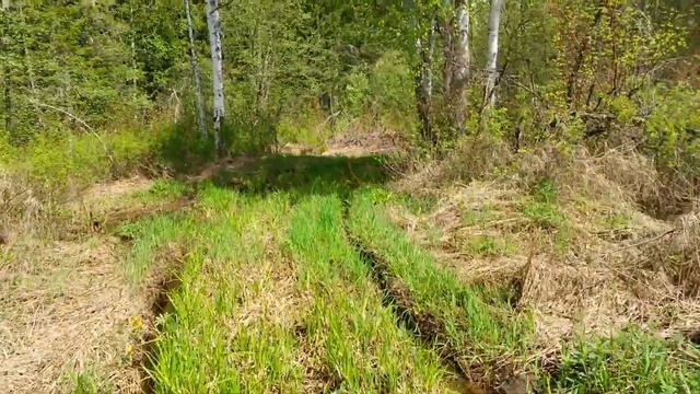 Квадроцикл STLES700H по тайге смотреть онлайн