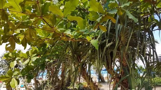 Пхукет Карон 2017