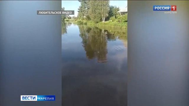 Причиной гибели рыбы в Туксе могли стать ливни и высокая температура воды смотреть онлайн
