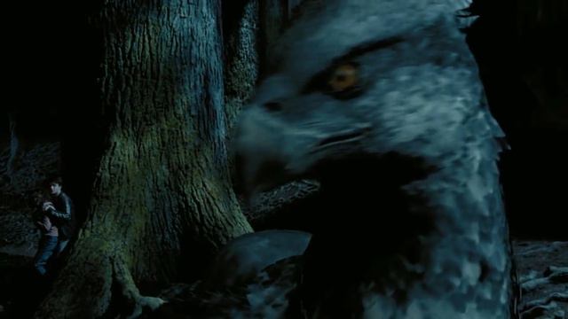 10 Exotic But Terrifying Harry Potter Creatures - Explored In Detail! смотреть онлайн