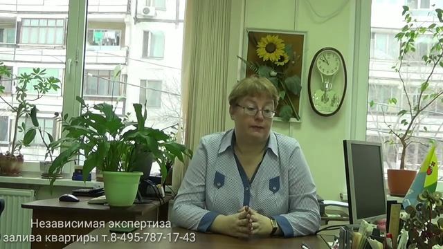 Нужно ли направлять претензию соседу Выпуск №45 смотреть онлайн