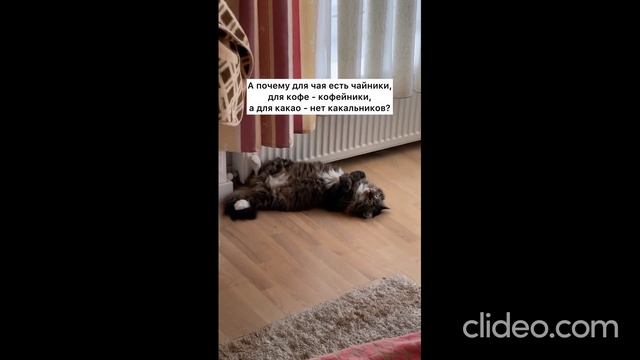 перед сном 26.07 смотреть онлайн