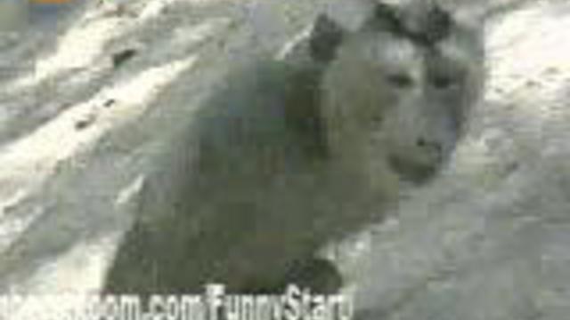 Каратист смотреть онлайн