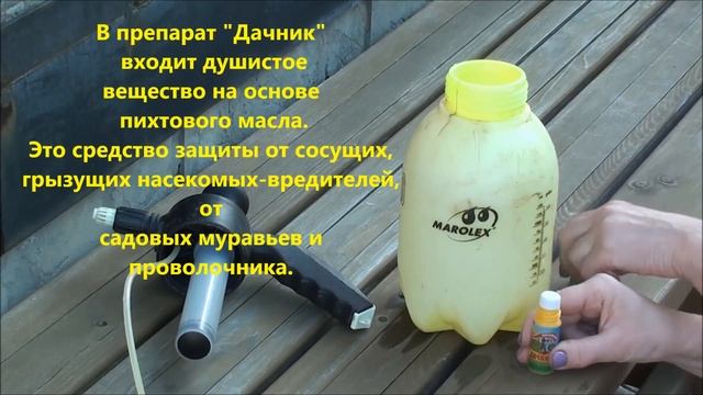 Как отпугнуть летающих вредителей на садовом участке? смотреть онлайн