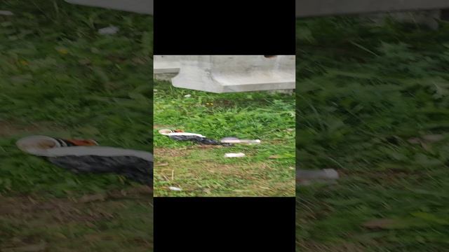 Видимо нет! смотреть онлайн