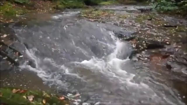 Ах, солнце, море и цветы..! смотреть онлайн