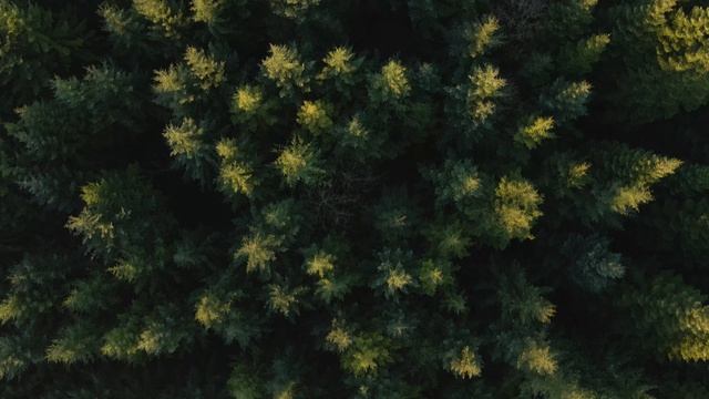 220114_01_Drone_4k_011