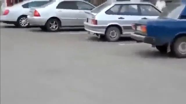 Смешные животные/Тест на психику/кошки против собак смотреть онлайн