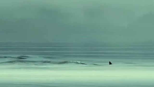 Sherlock's sleep - Сон Шерлока смотреть онлайн