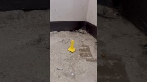 Процесс заливки самовыравнивающей стяжки от Геркулес GF-177