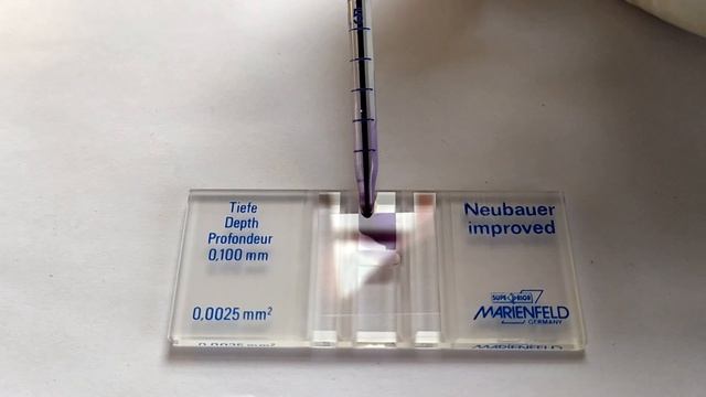 Total WBC count Practical Lab смотреть онлайн