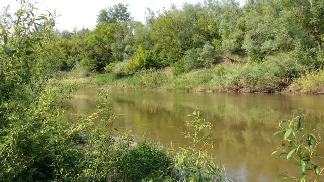 Река Самара в Самарской области. смотреть онлайн