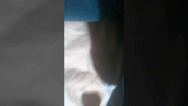 LA NUEVA SERIE DE EL CANAL ANAL XDDDDDDD смотреть онлайн
