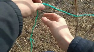 Шпалера Для Малины. Подвязка Малины.