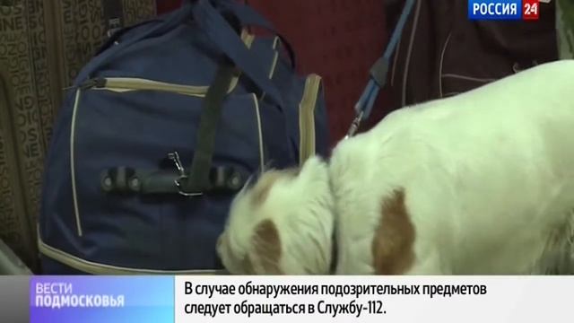 На вокзалах Москвы усилены досмотры багажа. смотреть онлайн