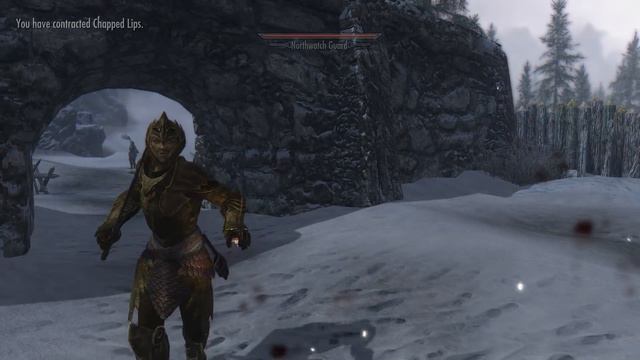 Skyrim - Immersive Chapstick Mod смотреть онлайн