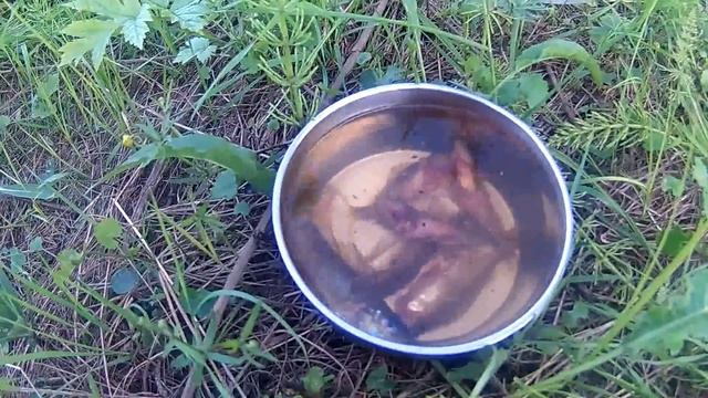 Рыбаки На Привале. Ночь и Финишная Прямая. Сплав ИЮНЬ 2018г. Ч3 - Болен Рыбалкой №527 смотреть онлайн