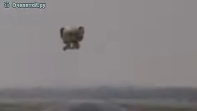 Прикол про слона. Смешное видео про слонов.