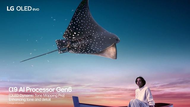 2023 LG OLED evo | α9 AI Processor Gen6 смотреть онлайн