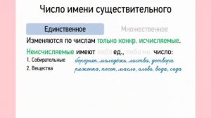 число имени существительного