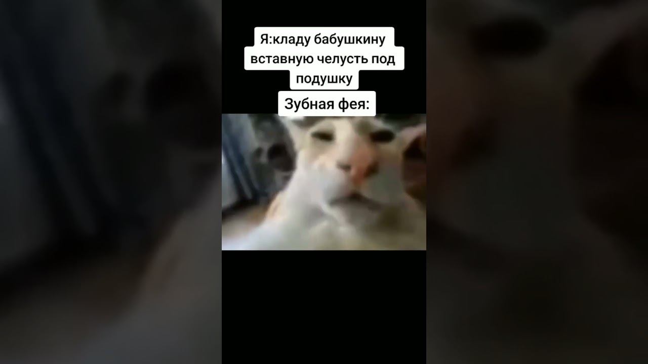 meme смотреть онлайн