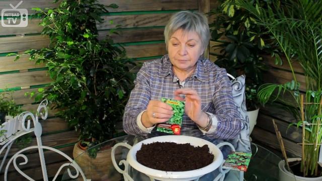 Сделай Это С Удовольствием