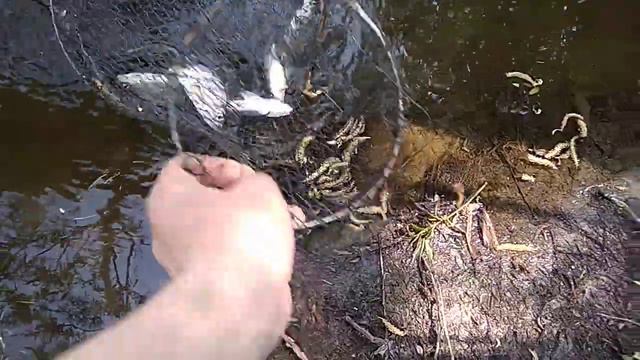 Рыбалка Сула, Тарасовка 02.05.2020 смотреть онлайн