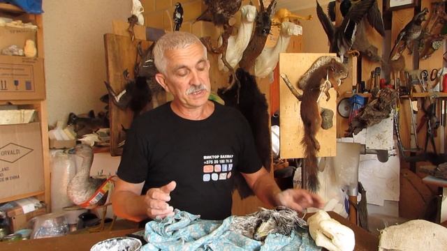 Таксидермия птиц. Сушка пера. смотреть онлайн