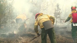 Группировку по тушению лесных пожаров в регионе сокращают