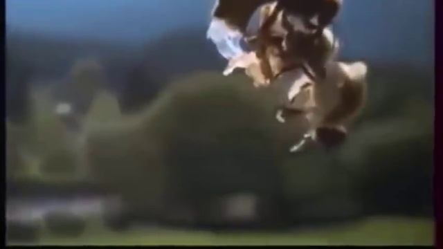 Начинающим пчеловодам развитие пчел смотреть онлайн