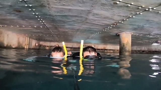 Ushaka Marine World смотреть онлайн
