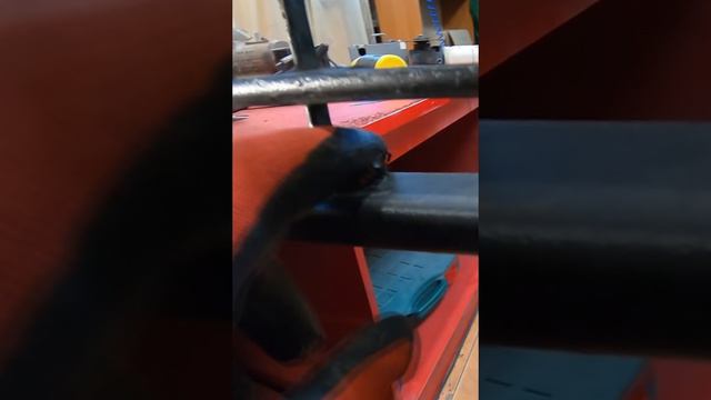 пайка перепонки