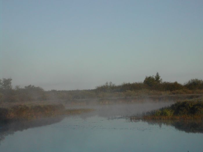 Иеромонах Роман. Псалом 41 («Благословен еси, Господи…») смотреть онлайн