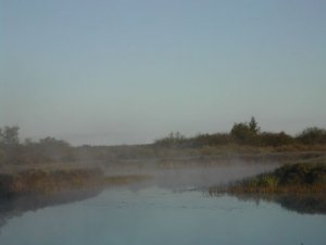 Иеромонах Роман. Псалом 41 («Благословен еси, Господи…»)