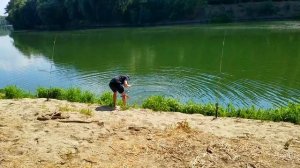 Рыбалка на мамалыгу с тигровым орехом