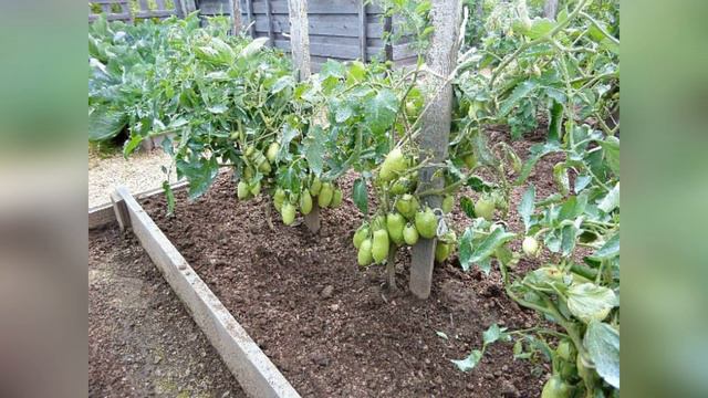 Дела весенние, рассадные смотреть онлайн