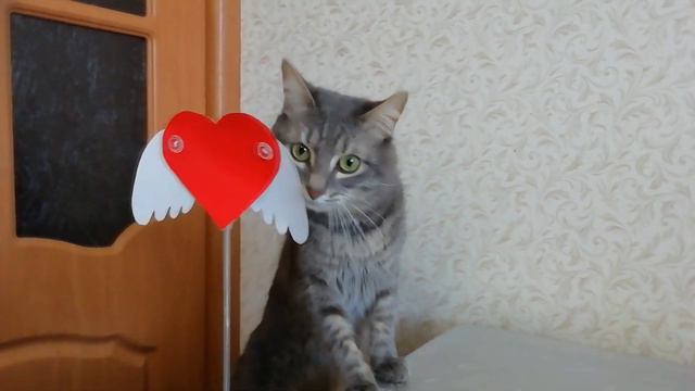 Кот Sёма и валентинка. Поздравление с Днём всех влюблённых. смотреть онлайн