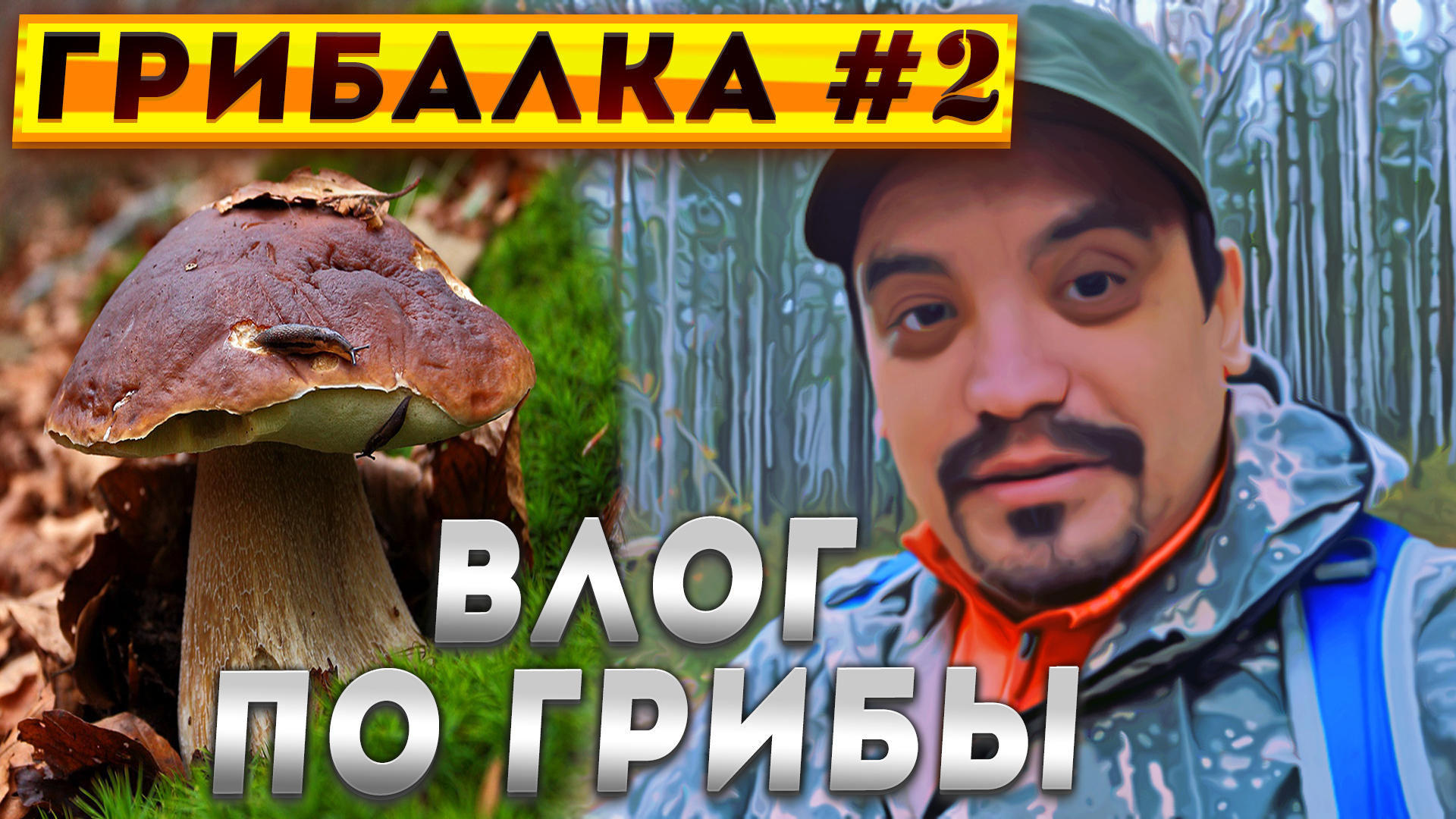 ? Влог поход по грибы в лес | Тихая охота на осеннии опята #грибы #грибалка #тихаяохота