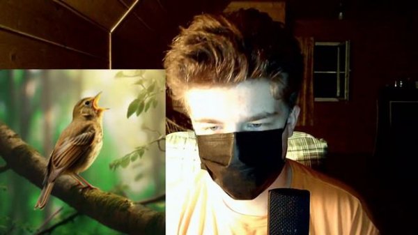 Фиксай feat. SOLOWAY - Соловей  РЕАКЦИЯ НА ТРЕК