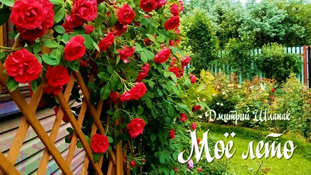 Моё лето смотреть онлайн