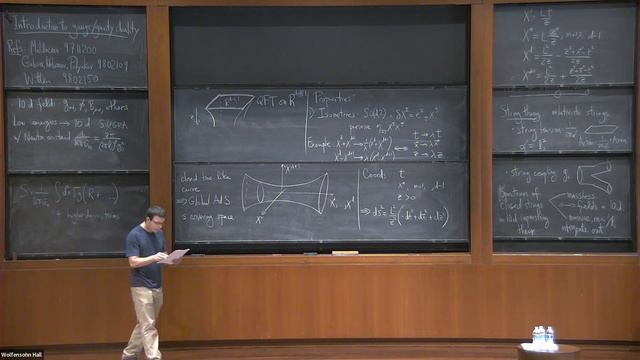 Gauge Theories at Strong Coupling and the Gauge/Gravity Duality - Silviu Pufu смотреть онлайн